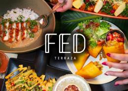 FED TERRAZA