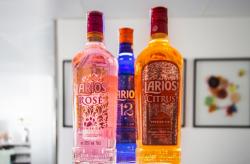 Helados del Monaguillo, Coín