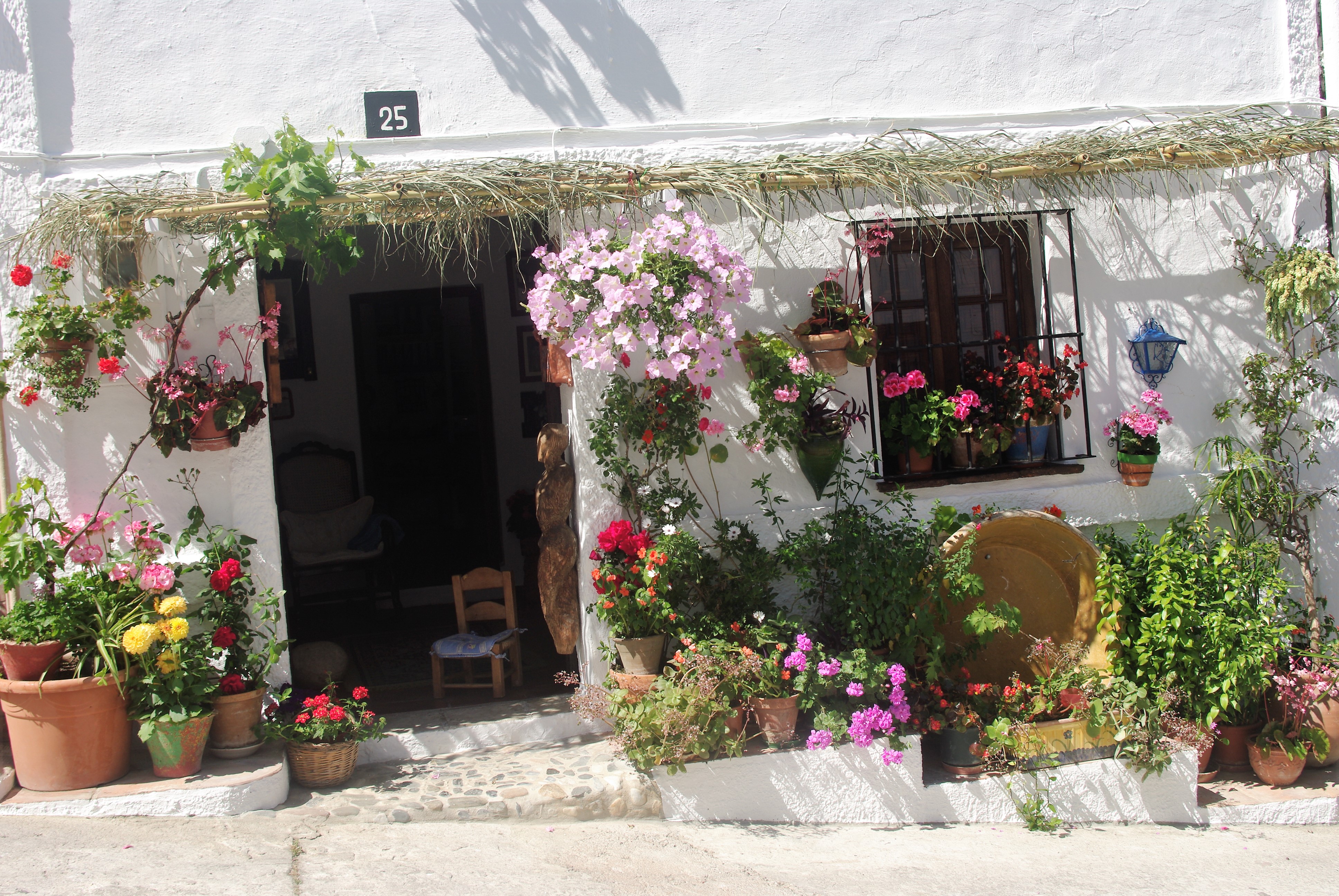 Casa Carmen Escalona